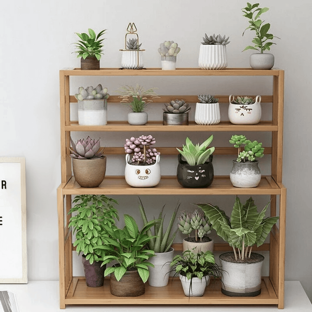 Gtouse 4 Shelf Bamboo Bookcase, Desktop Bookshelf, Plants Display Storage Shelf, Natural, for Home