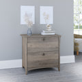 Bush Furniture Salinas Lateral File Cabinet, 2 Drawer, Driftwood Gray