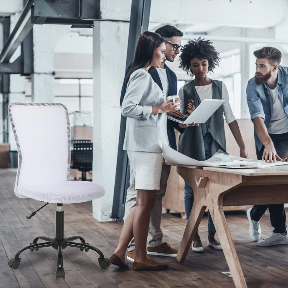 YRLLENSDAN Indoor Mid Back 360 Degree Swivel and Lumber Support Computer Desk Chair, White