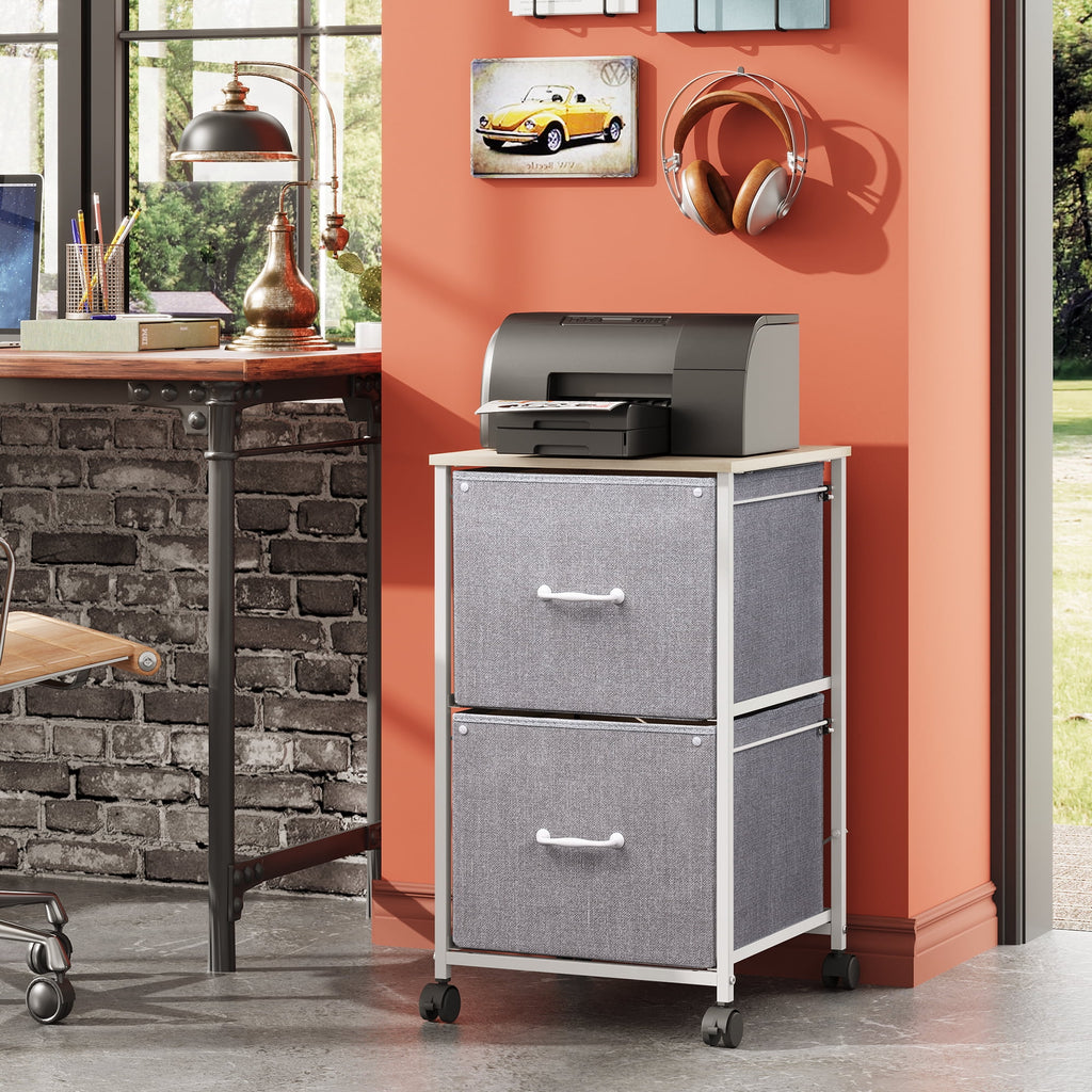 GALAXHERO Filing Cabinet 2 Drawer Mobile Printer Stand for Home Office, Rolling Fabric Vertical File Cabinet, Fits A4 or Letter Size, Light Grey